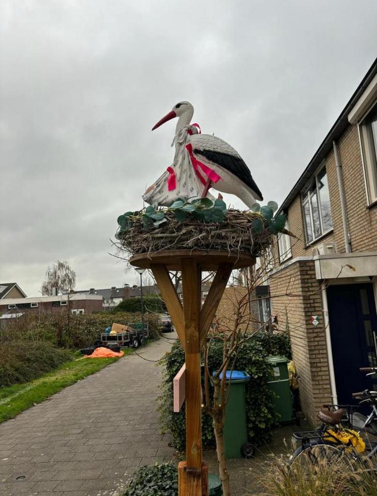 Nu weer in de verhuur: Geboorteaankondiging voor1/2 baby’s :, Ophalen, Zo goed als nieuw, Geboortebord