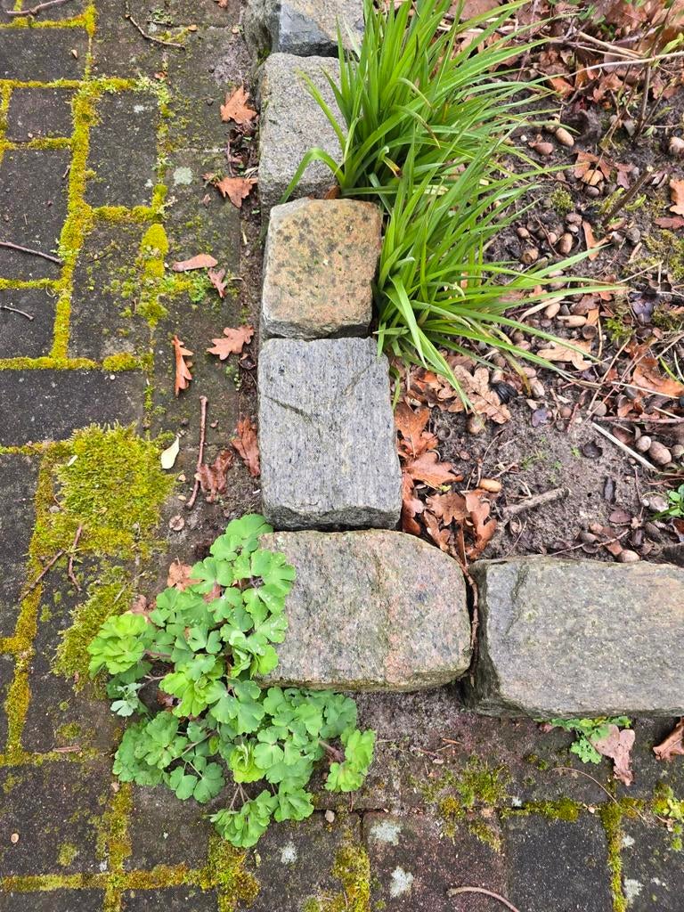 Tuinrand | Keien | Rotsblokken | Belgische moppen, Tuin en Terras, Grind, Keien en Split, Gebruikt, Kei, Grijs, Graniet, Ophalen