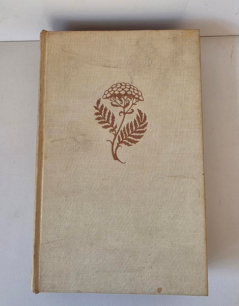 Geleefde Zon - Jo van Dorp Ypma (Vintage Boek) Anton Pieck, Ophalen of Verzenden, Gelezen, Jo van Dorp Ypma, Nederland