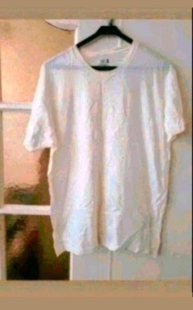 Fruit of Loom t-shirt, Maat 52/54 (L), Wit, Ophalen of Verzenden, Zo goed als nieuw