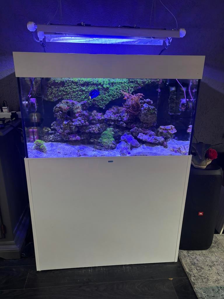 Zeeaquarium, Ophalen, Gevuld zeewateraquarium