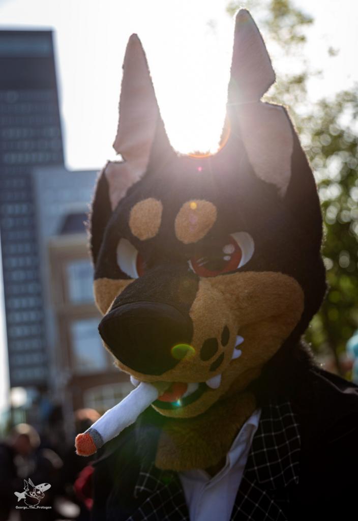 Fursuit head ( doberman ), Hobby en Vrije tijd, Ophalen of Verzenden, Zo goed als nieuw