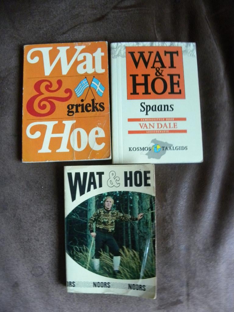 wat en hoe taalgids, Boeken, Europa, Ophalen of Verzenden, Taalgids, Gelezen