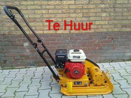 Trilplaat en stenenknipper, Ophalen