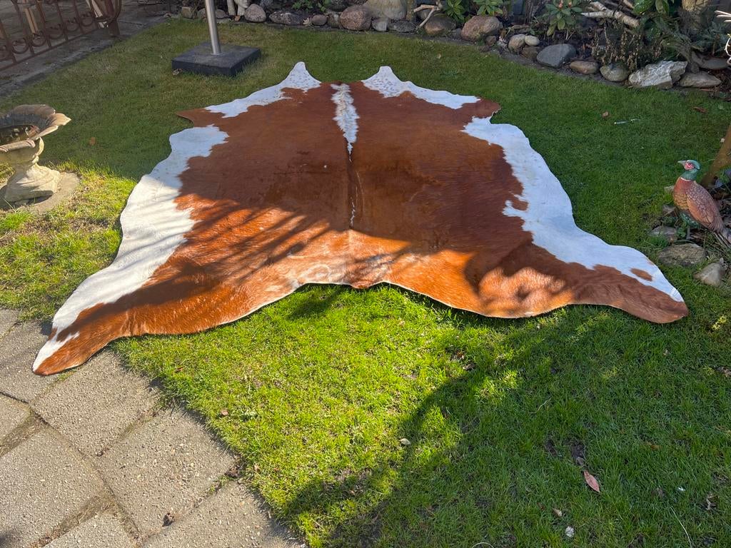 Groot koeienhuid vloerkleed, keurige staat, Huis en Inrichting, Stoffering | Tapijten en Kleden, Bruin, 150 tot 200 cm, 200 cm of meer