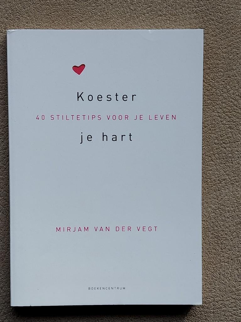 Koester - 40 Stiltetips voor je leven, Achtergrond en Informatie, Spiritualiteit algemeen, Ophalen of Verzenden, Zo goed als nieuw