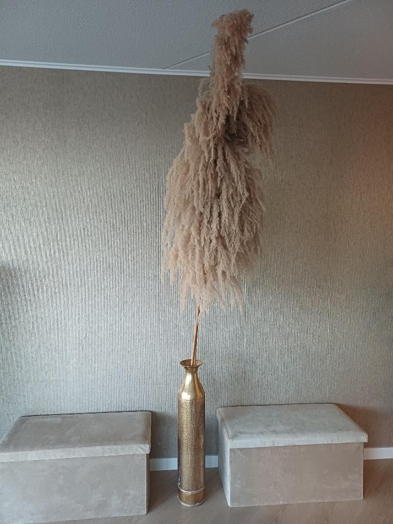 Pluimen, Ophalen, Zo goed als nieuw