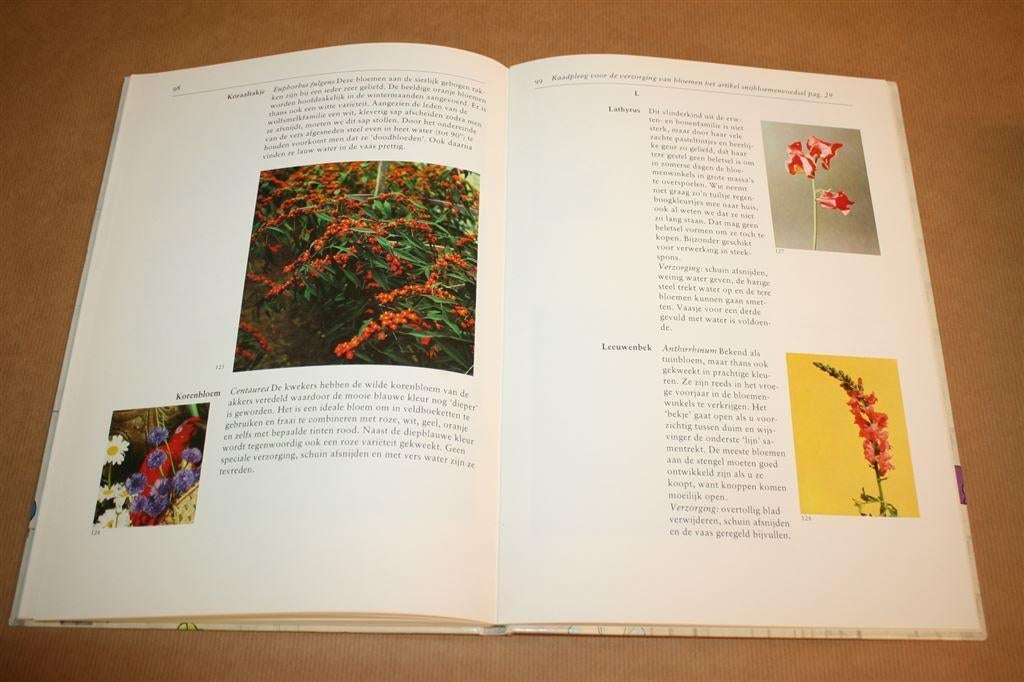 Fleur op met bloemen - Hanny Meyerink, Ophalen of Verzenden, Gelezen, Overige onderwerpen