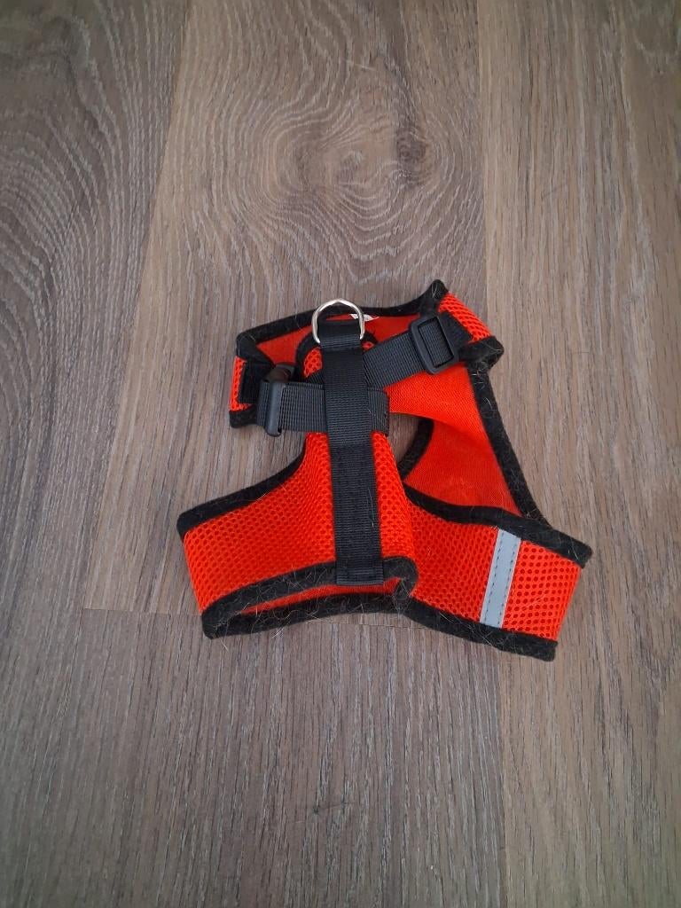 Katten tuigje XL, Dieren en Toebehoren, Ophalen, Gebruikt