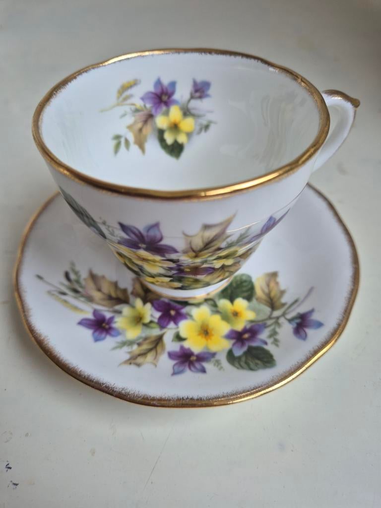 Springfield bone china porselein, Ophalen of Verzenden, Zo goed als nieuw, Porselein, Kop en/of schotel