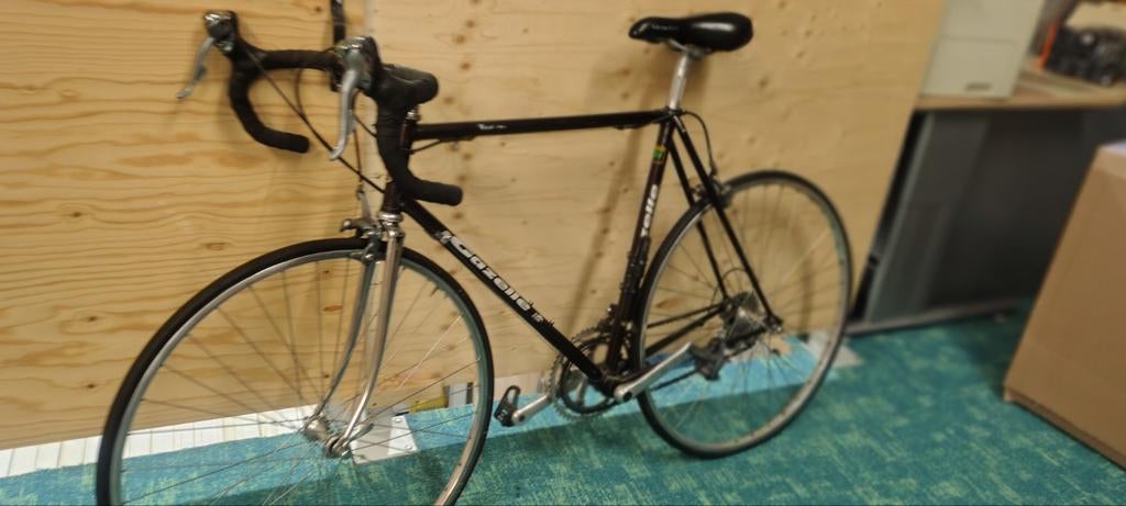 Gazelle Champion Mondial Team - Klassieker!, 55 tot 59 cm, Ophalen