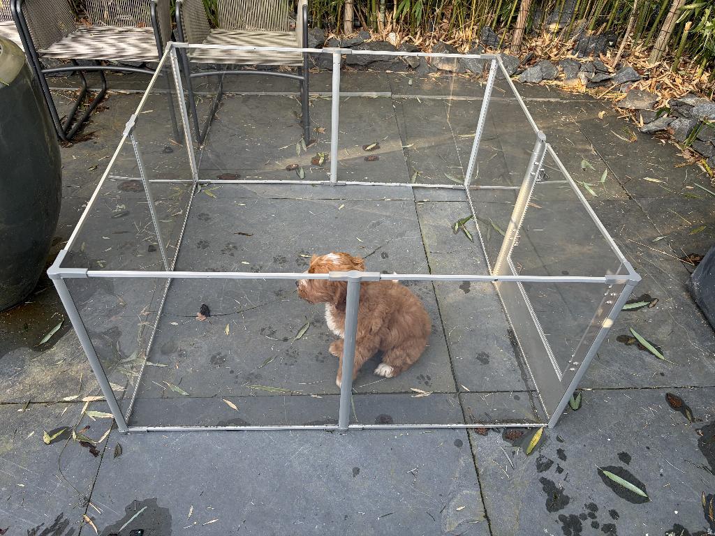 Mooie glazen puppy ren, Ophalen, Zo goed als nieuw