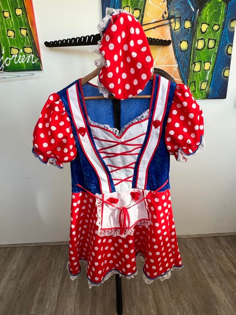 Carnavalsjurkje - Maat L, Kleding | Dames, Ophalen, Carnaval, Maat 42/44 (L), Zo goed als nieuw