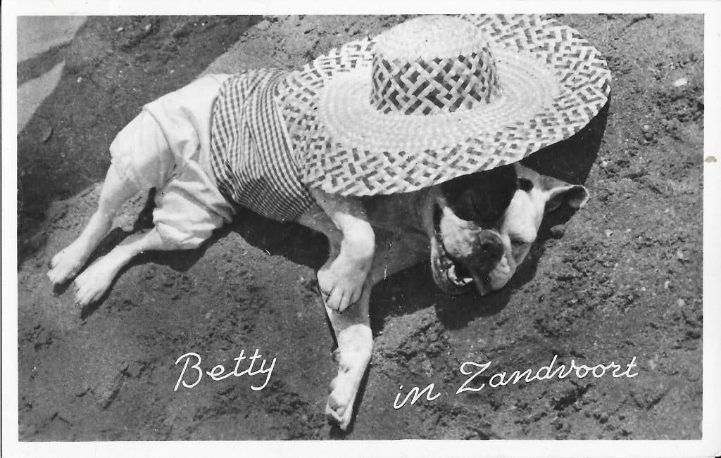 Zandvoort, hond, zonnehoed, Betty, Verzenden, 1940 tot 1960, Gelopen, Noord-Holland