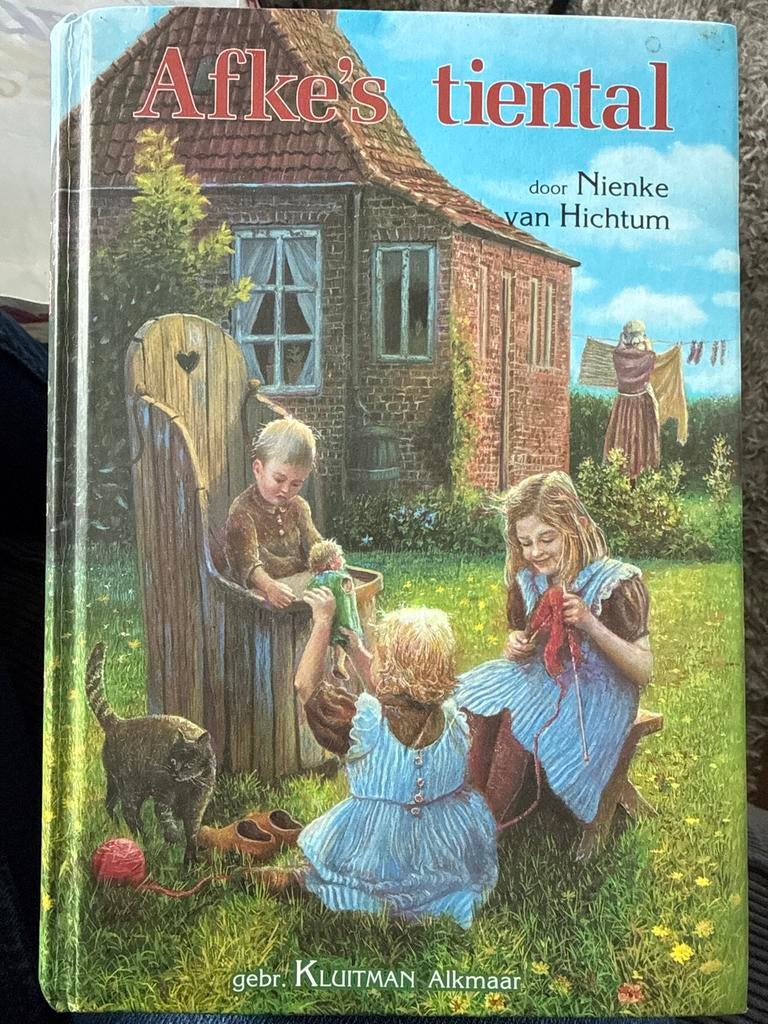Afke's tiental door Nienke van Hichtum, Ophalen of Verzenden, Gelezen, Fictie algemeen