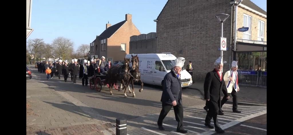 2 span KWPN tuigpaarden *ervaring Sinterklaas en Carnaval*, Dieren en Toebehoren, Merrie, Minder dan 160 cm, Met stamboom, Z