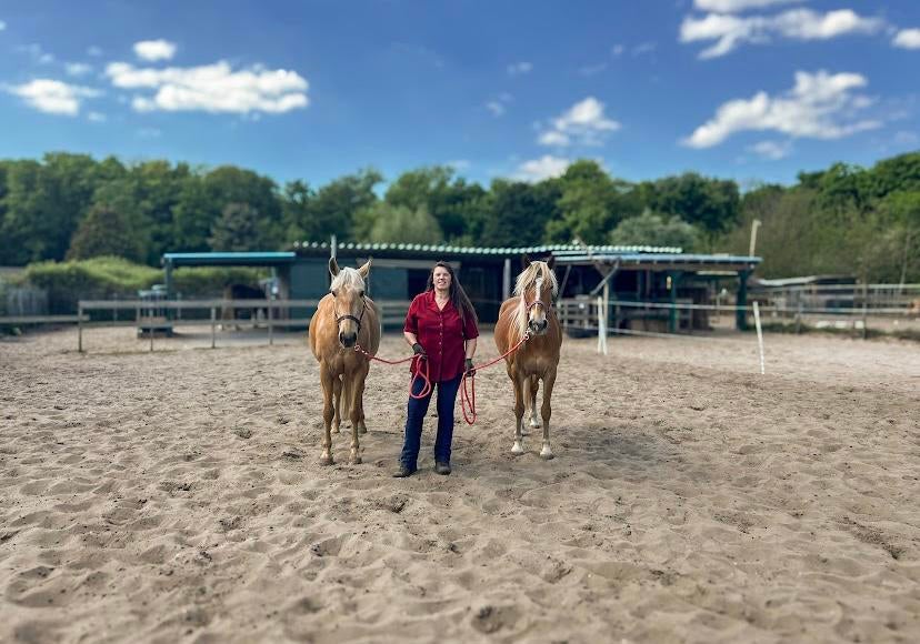 Coaching met paard(en), Diensten en Vakmensen, Welzijn | Overige