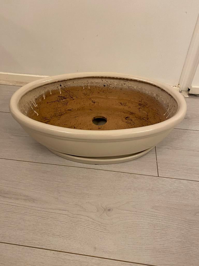 Grote beige bonsai bloempot met onderlegger, Gebruikt, 40 cm of meer, Binnen, Ophalen of Verzenden