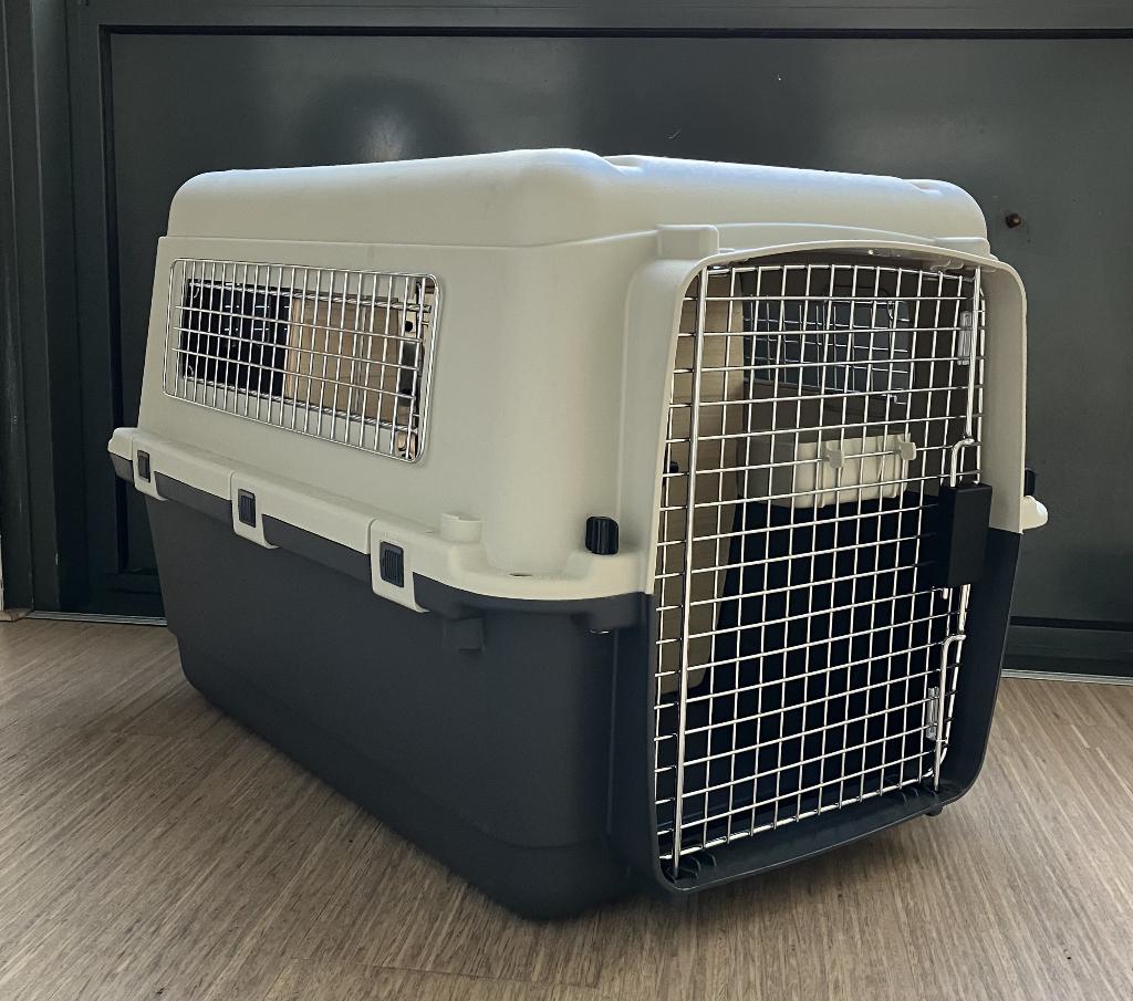 Reisbox – 2 katten of kleine hond (opbrengst naar goed doel), Dieren en Toebehoren, Ophalen, Zo goed als nieuw