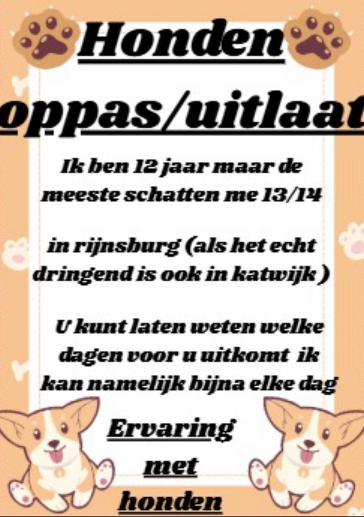 HONDEN OPPAS/UITLAAT, Overige vormen