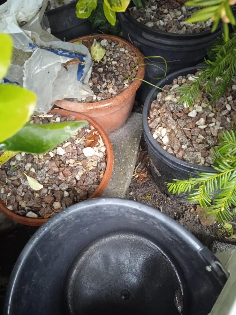 Siergrind gratis afhalen!, Tuin en Terras, Grind, Keien en Split, Ophalen, Gebruikt, Grind