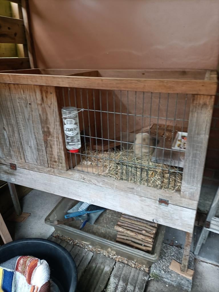 Mooi solide konijnen- cavia buiten hok, Ophalen, Hok, Cavia, Minder dan 60 cm