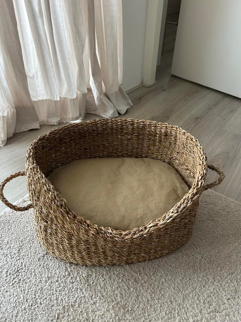 Rieten hondenmandje met kussen Zara Home, Ophalen, Zo goed als nieuw, Riet