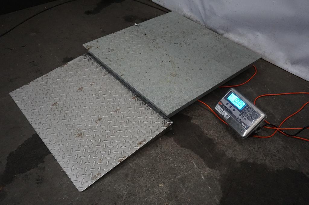 Precia molen weegschaal weegsysteem, Ophalen of Verzenden, Gebruikt, Vloerweegschaal, 200 kg of meer