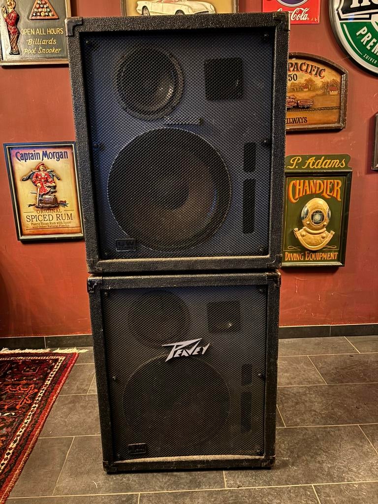 Peavey boxen met versterker, Audio, Tv en Foto, Luidsprekers, Gebruikt, 120 watt of meer, Front, Rear of Stereo speakers, Ophalen