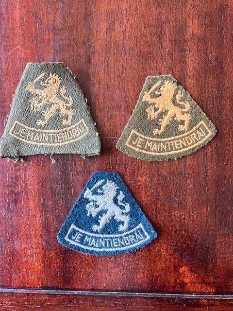 Emblemen Nederlands Indie / Nieuw Guinea, Ophalen of Verzenden, Landmacht, Nederland, Embleem of Badge