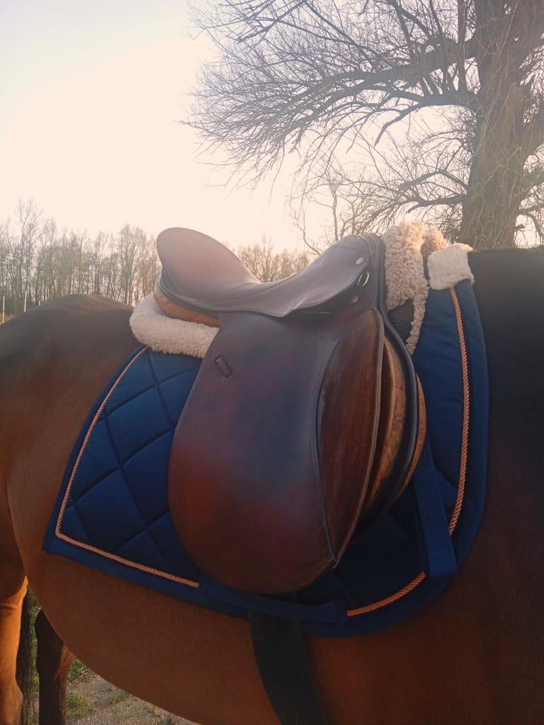 Daaleman veelzijdigheidszadel, Ophalen of Verzenden, Zo goed als nieuw