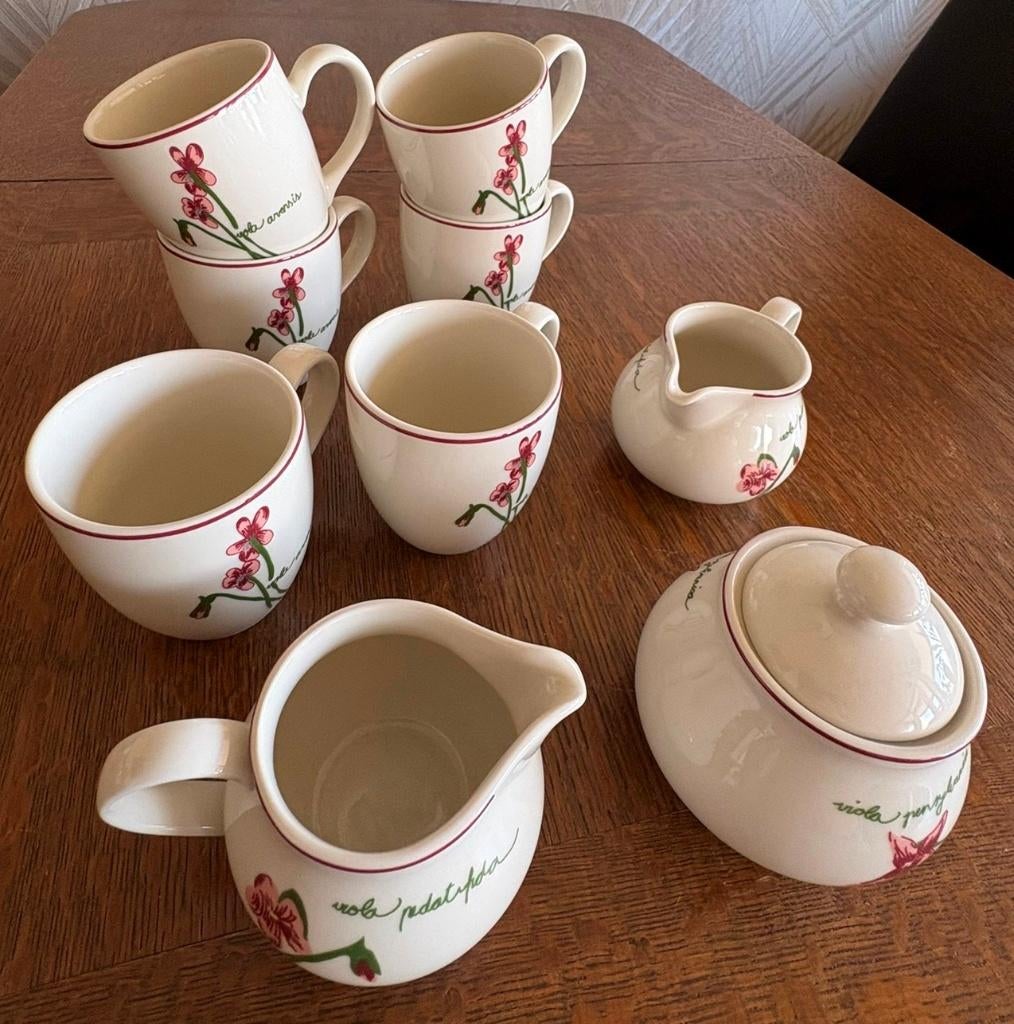 Van Cleef theeservies 10-delig, Ophalen of Verzenden, Zo goed als nieuw, Overige stijlen, Kop(pen) en/of Schotel(s)