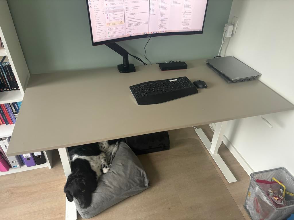 Handmatig zit sta bureau 160X80, Ophalen, Zit-sta bureau, Gebruikt, Spaanplaat of MDF