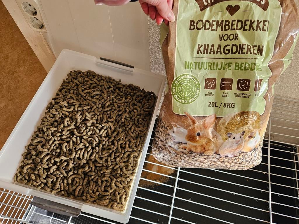 Konijnenhok + Bodembedekking + voer., Dieren en Toebehoren, Vrouwelijk, Kleurkanarie