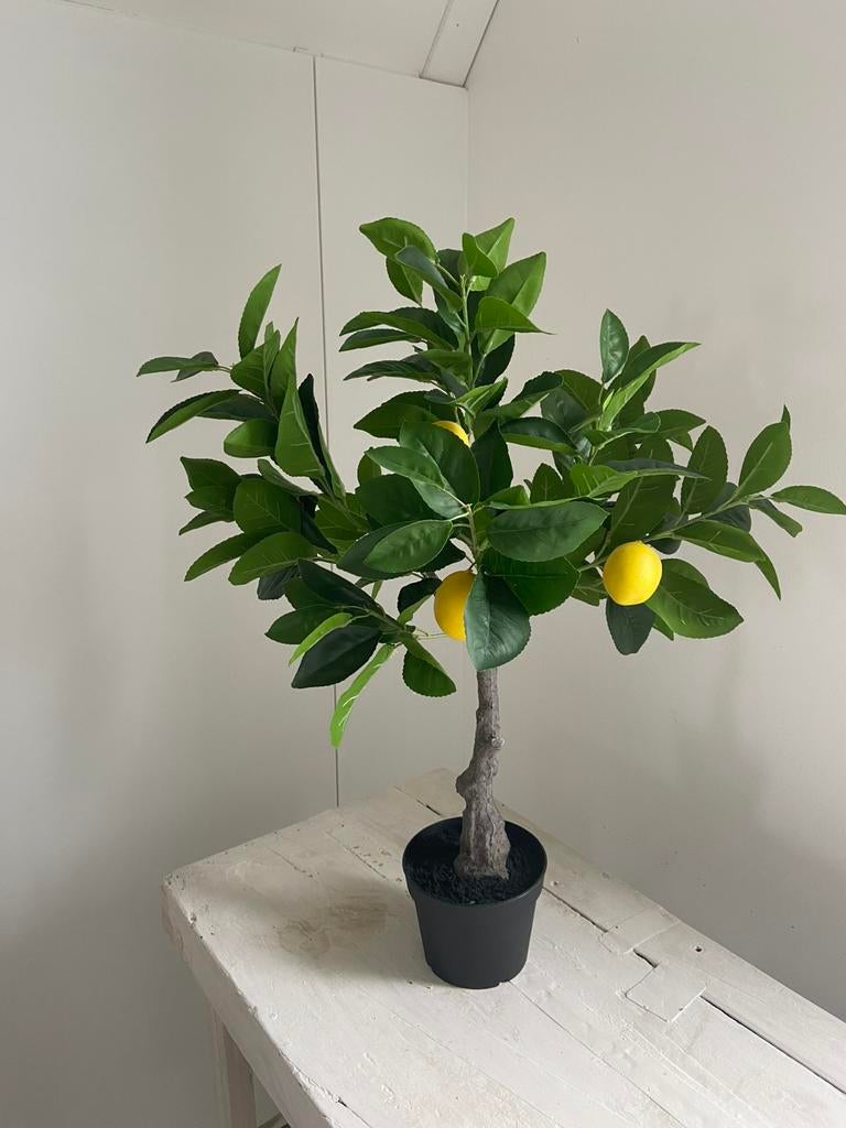 Mini kunst citroen boom, Ophalen of Verzenden, Zo goed als nieuw