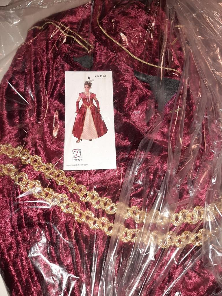 Verkleedkleding, Ophalen of Verzenden, Nieuw, Maat 38/40 (M), Carnaval