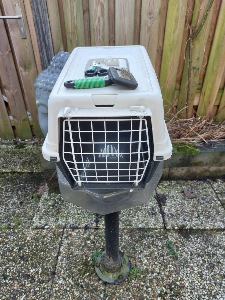 Transportbox voor cavia, konijn of poes, Dieren en Toebehoren, Ophalen