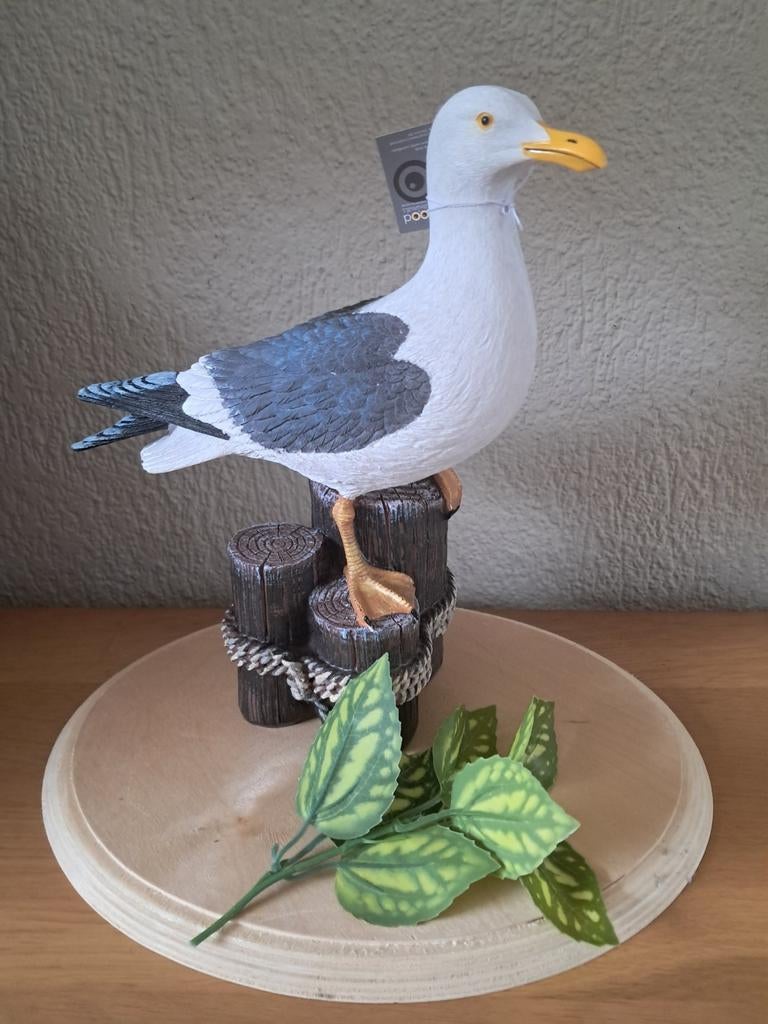 Mooi kwaliteits beeld van de meeuw te koop, Ophalen of Verzenden, Nieuw, Dier