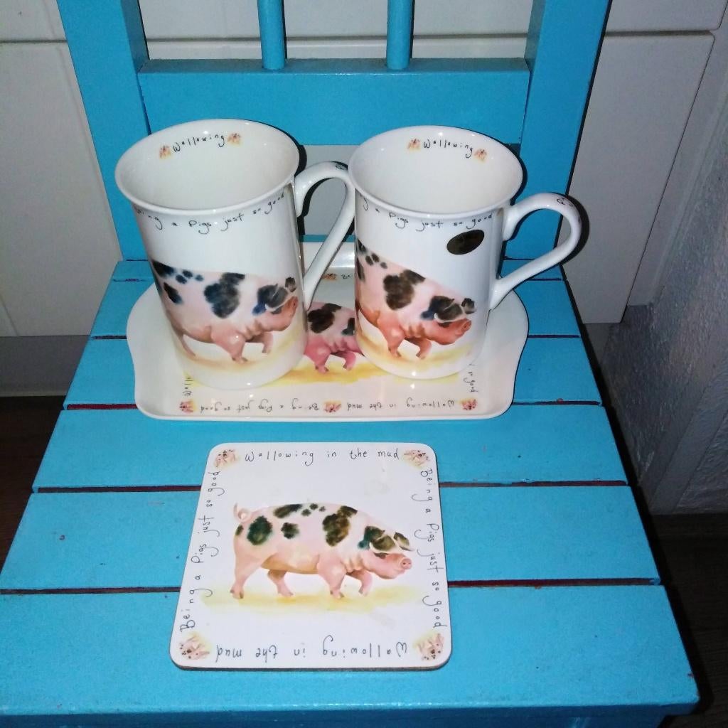 Leonardo Farmyard Collection being a pig/varken, Huis en Inrichting, Ophalen, Overige materialen, Overige typen, Zo goed als nieuw