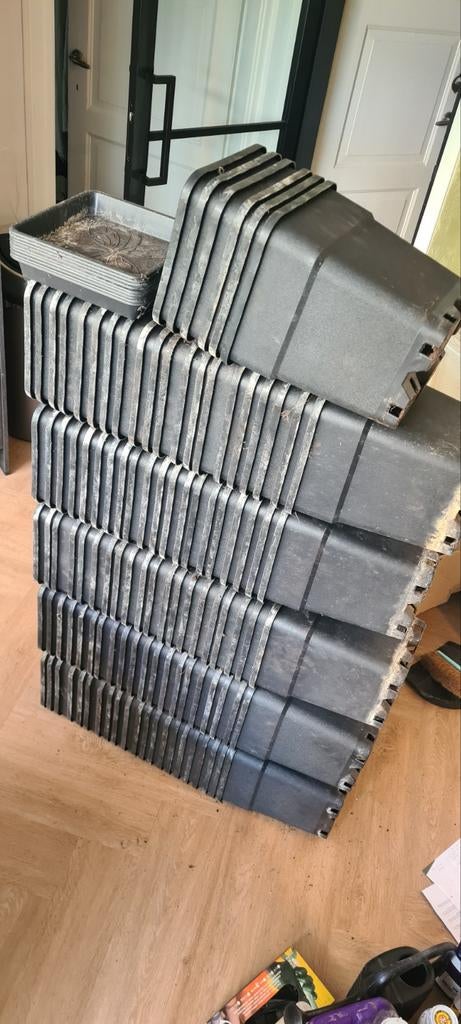Kweekspullen - Alleen Vandaag €500!, Ophalen of Verzenden, Gebruikt