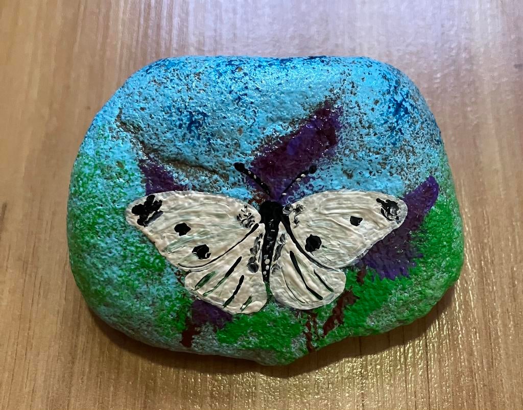 Beschilderde steen koolwitje, Ophalen of Verzenden, Zo goed als nieuw