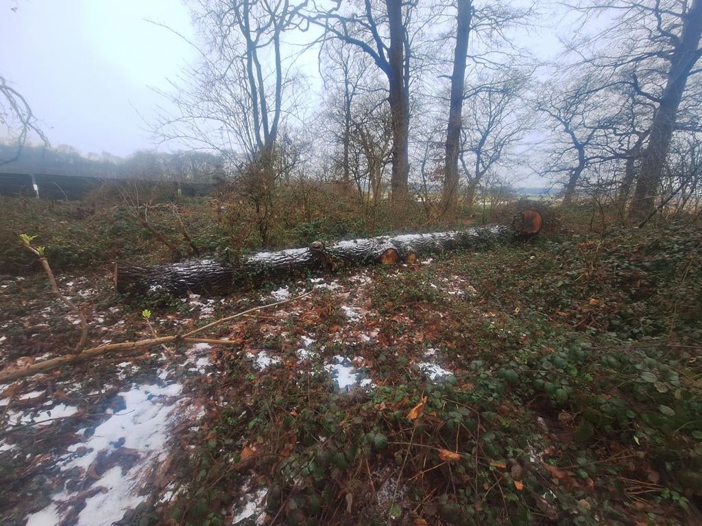 Kastanje boomstam - 11 meter, 70 cm doorsnee, Verzenden