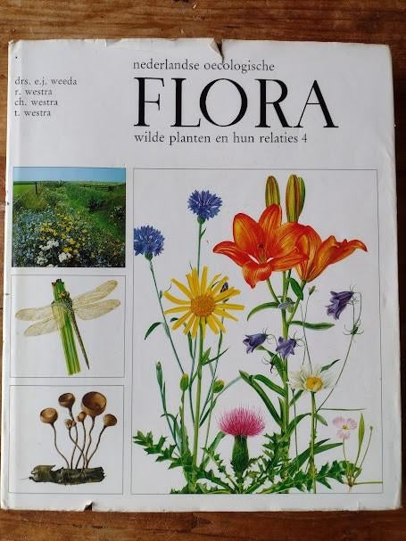 Nederlandse Oecologische Flora Deel 3 + Deel 4, Boeken, Natuur, Ophalen of Verzenden, Gelezen, Bloemen, Planten en Bomen, Drs. E.J. Weeda e.a