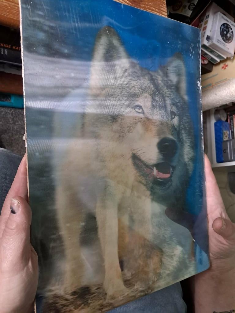 Diverse 3d schilderijen, Huis en Inrichting, Woonaccessoires | Wanddecoraties, Ophalen, Nieuw