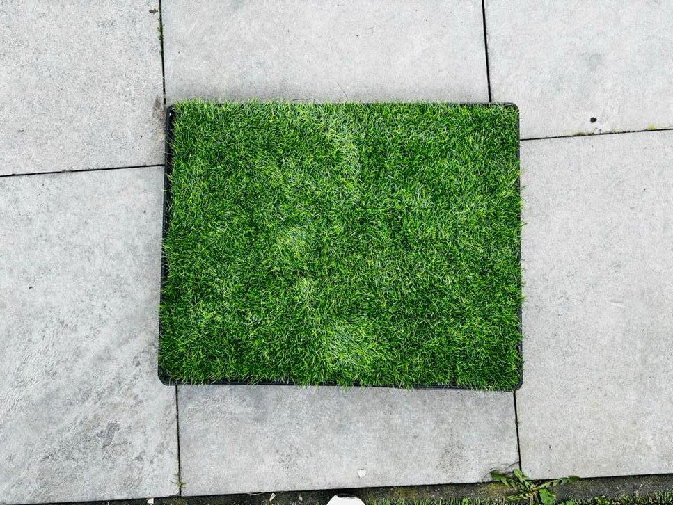 Honden toilet voor een puppy, Ophalen of Verzenden