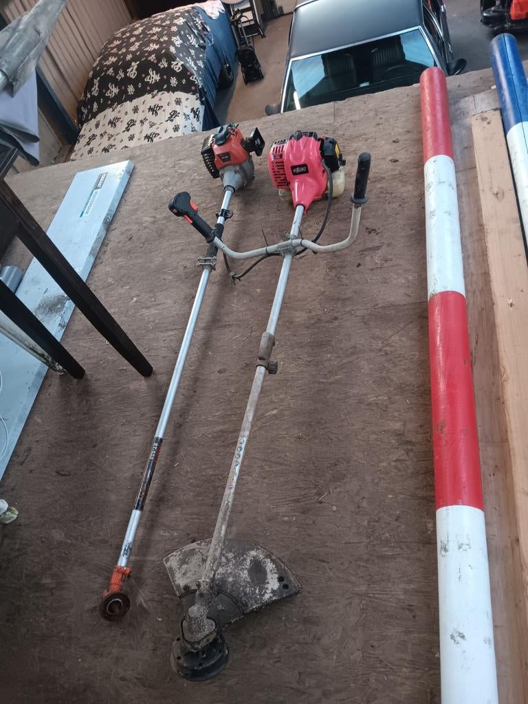 Bosmaaier, Ophalen of Verzenden