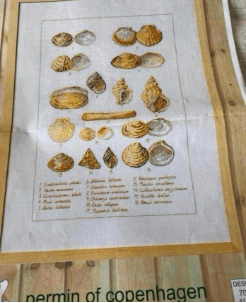 BORDUURPAKKET PERMIN OF COPENHAGEN SCHELPEN, Hobby en Vrije tijd, Verzenden, Zo goed als nieuw, Handborduren, Borduurpakket