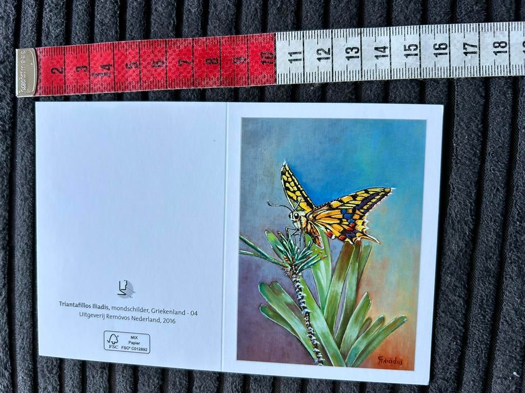 1636. Kattebel wenskaartje vlinder, Diversen, Wenskaarten, Zo goed als nieuw, Ophalen of Verzenden