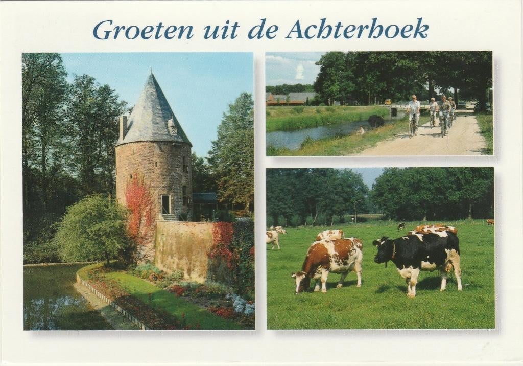 ACHTERHOEK Toren Stadsmuur Fietspad Koeien Groeten, Verzenden, 1980 tot heden, Gelopen, Gelderland