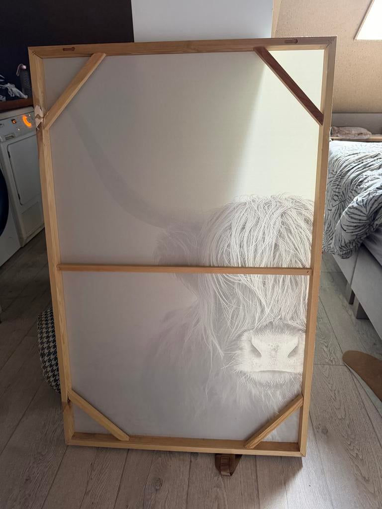 Schilderij Schotse hooglander, Ophalen